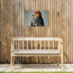 Vogel - Realistisch - Veren - Bruin Tuinposter op houten frame 2 cm dik klein -sfeer4