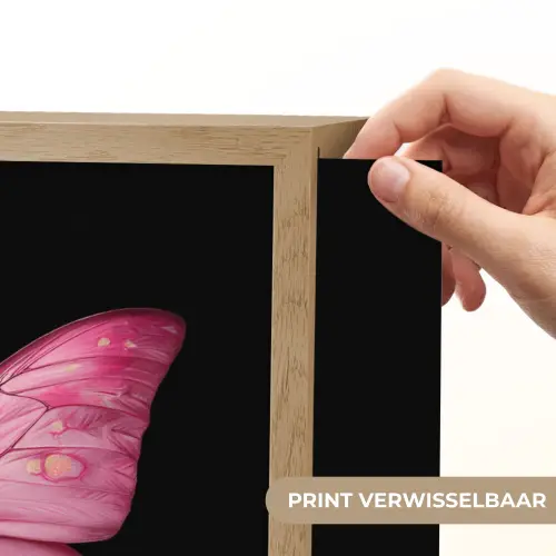 Vlinder - roze - Elegant Light Box met batterij (Wandlamp) middel -USP_websiteprintNL