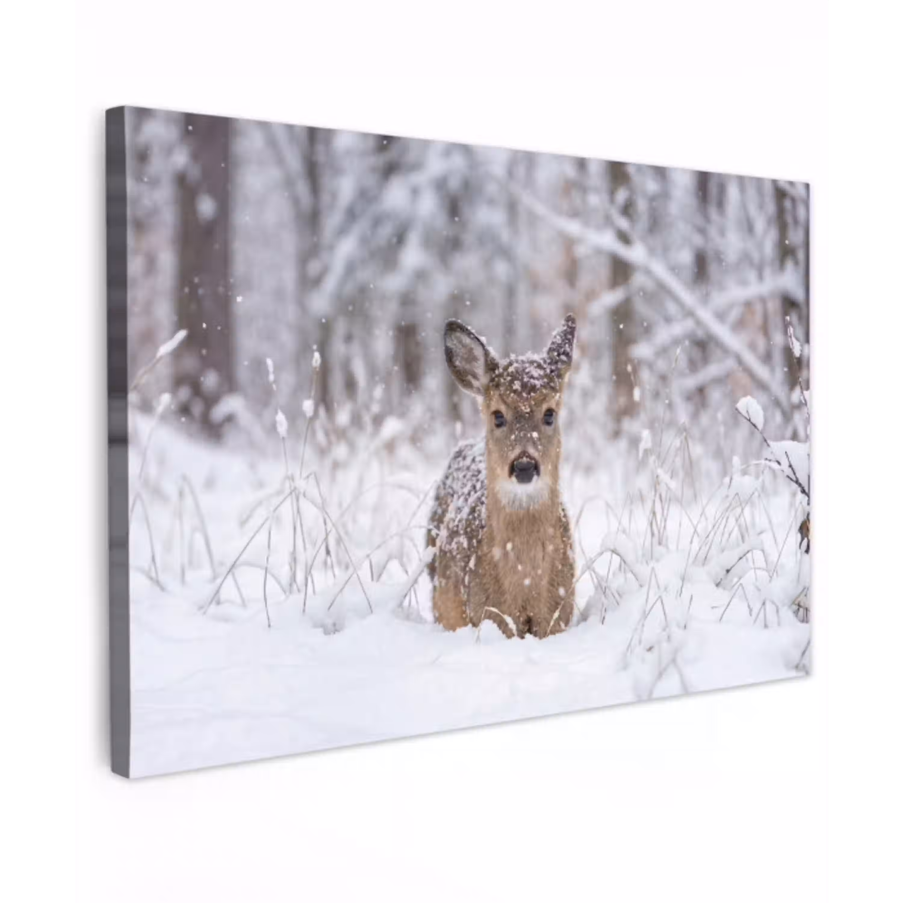 Hert - Sneeuw - Bos - Dieren - Vertederend Tuinposter op houten frame 2 cm dik klein -3d