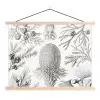 Tuinposter zwart wit - Ernst Haeckel - Kunst - Retro - Tuin textielposter latten blank klein -3d