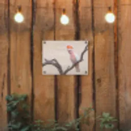 Papagaai - Tak - Roze tuinposter los doek klein -sfeer1