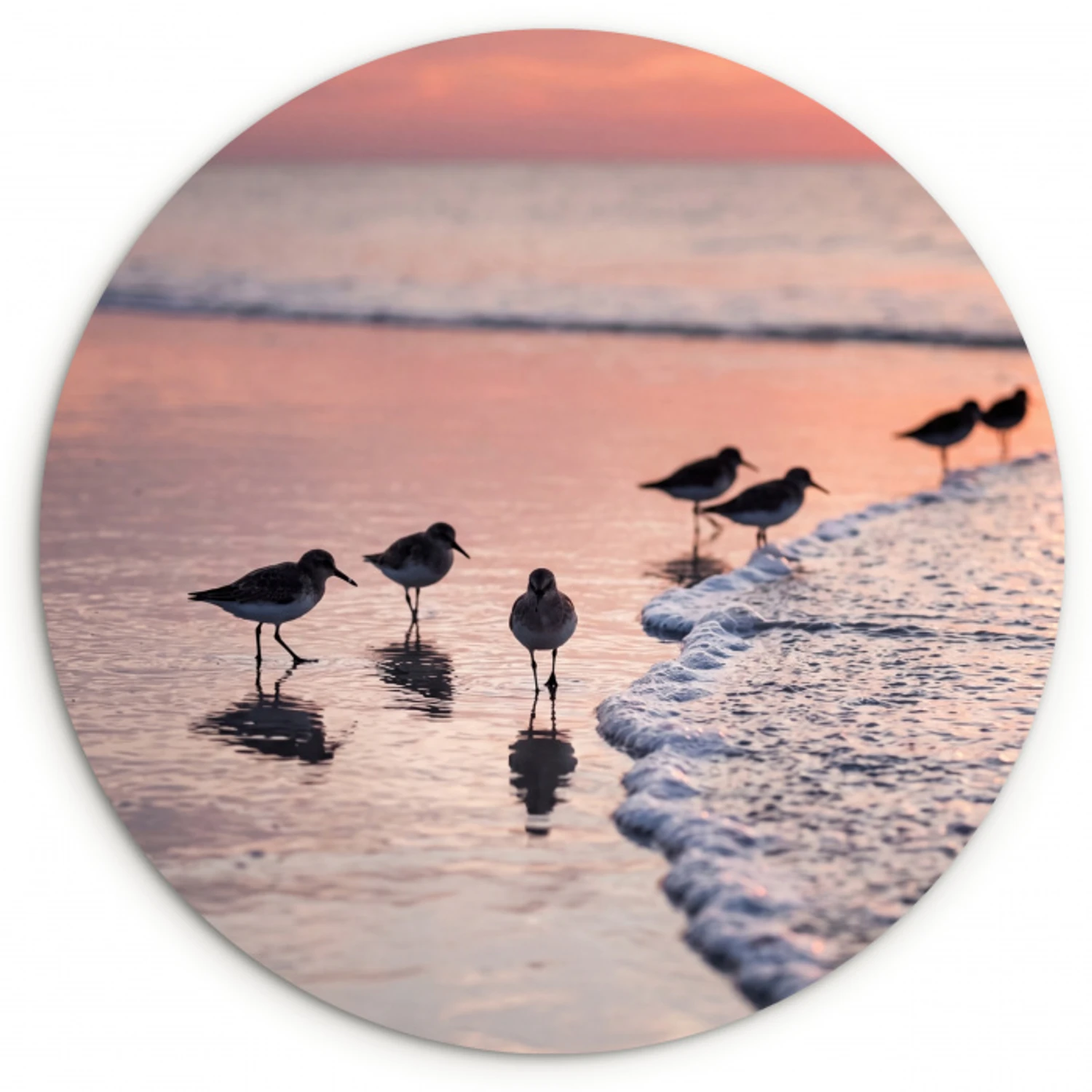Meeuwen - Strand - Zee - Roze Wandcirkel kunststof plaat 5mm dik klein -3d
