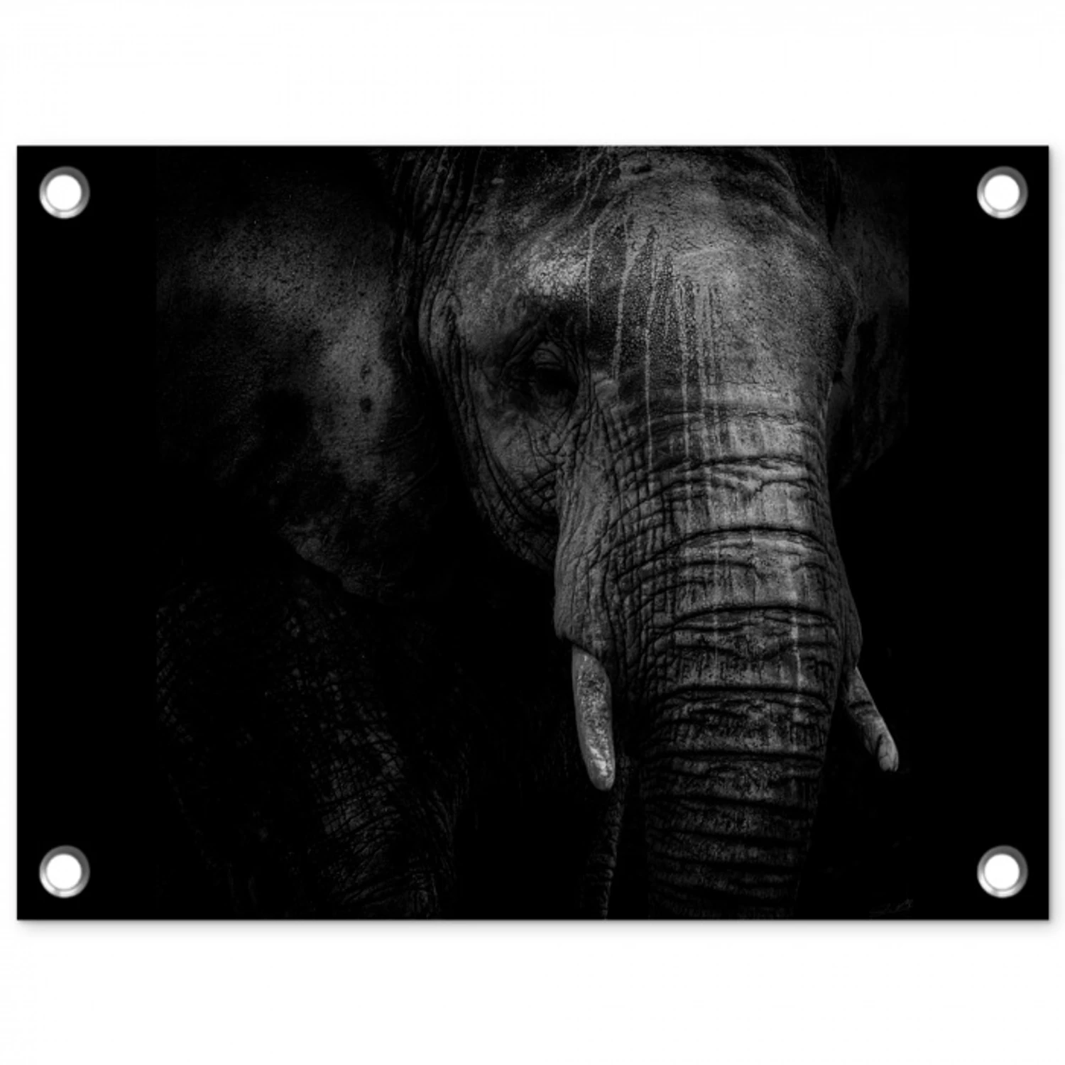 Olifant - Dier - Portret tuinposter los doek klein -3d