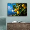 Citroenen - Bladeren - Blauwe lucht canvas 2cm klein -sfeer4