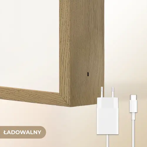 Ballerina - Fee - Roze Light Box met batterij (Wandlamp kind) middel -USP_websiteoplaadbaarNL