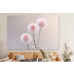 Bloemen - Bollen - Roze forex 5mm xxl -bovenbank
