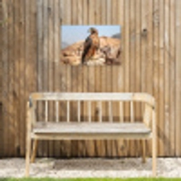 Valk - Vogel - Rots - Macht Tuinposter op houten frame 2 cm dik klein -sfeer4
