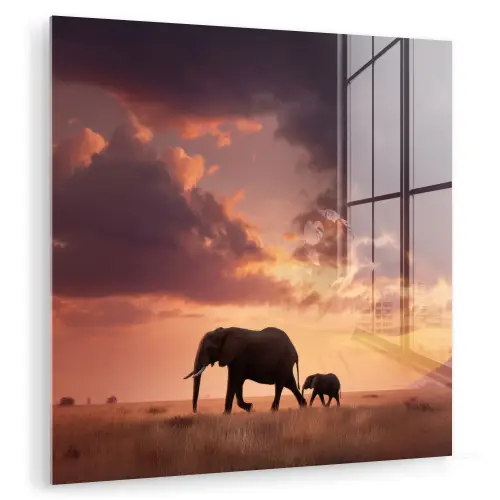 Olifanten - Grasland - Zonsondergang plexiglas 5mm klein -zzzproduct_nieuw