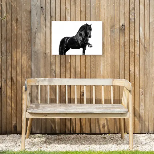 Fries - Hengst - Modern Tuinposter op houten frame 2 cm dik klein -sfeer4