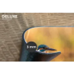 IJsvogel - Tak - Water - Kleurrijk - Levendig Placemat vinyl groot -closeup