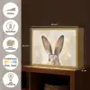 Haas - Oren - Bruin Light Box met batterij (Wandlamp) middel -USP_websiteoverzichtNL