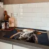 Stier - Kleurrijk - Hoorns Inductie beschermer vinyl 3mm klein -sfeer3