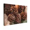 Dennenappels - Boom - Winter - Natuur - Bruin Tuinposter op houten frame 2 cm dik klein -3d