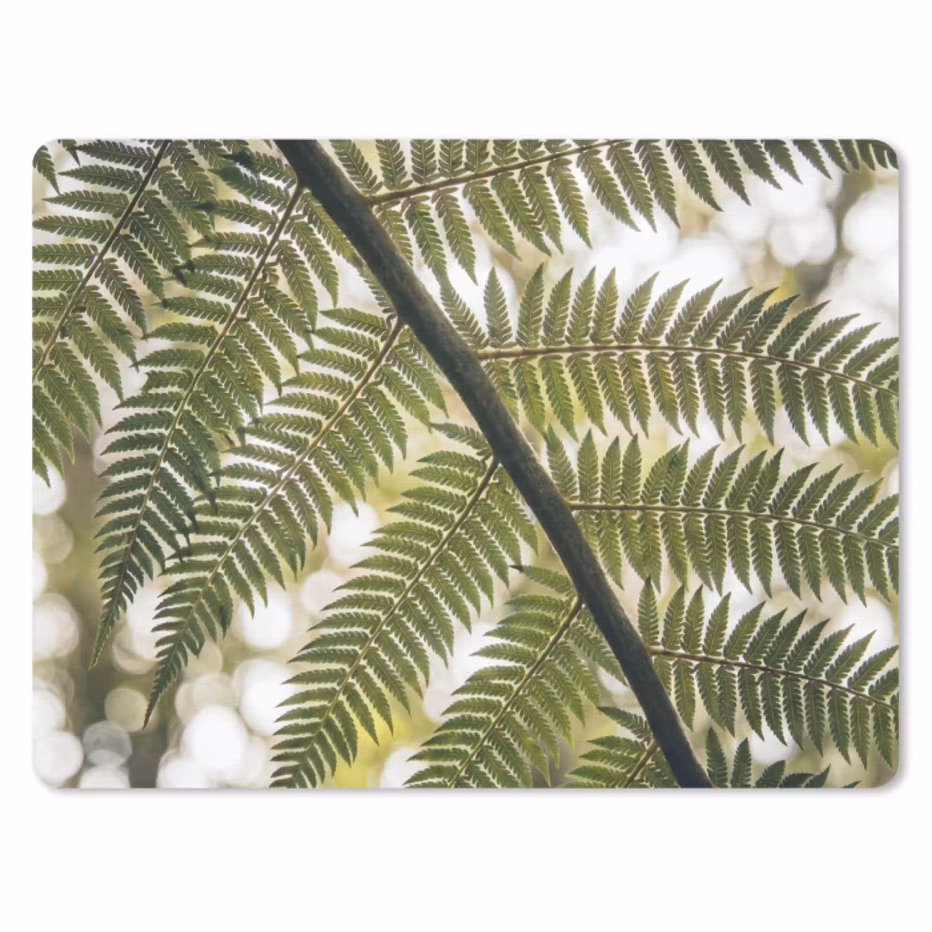 Plant - Blad - Natuur - Groen - Detail muismat rubber klein -3d