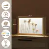 Droogbloemen - Natuur - Botanisch Light Box met kabel (Tafellamp) klein -USP_websiteoverzichtNL