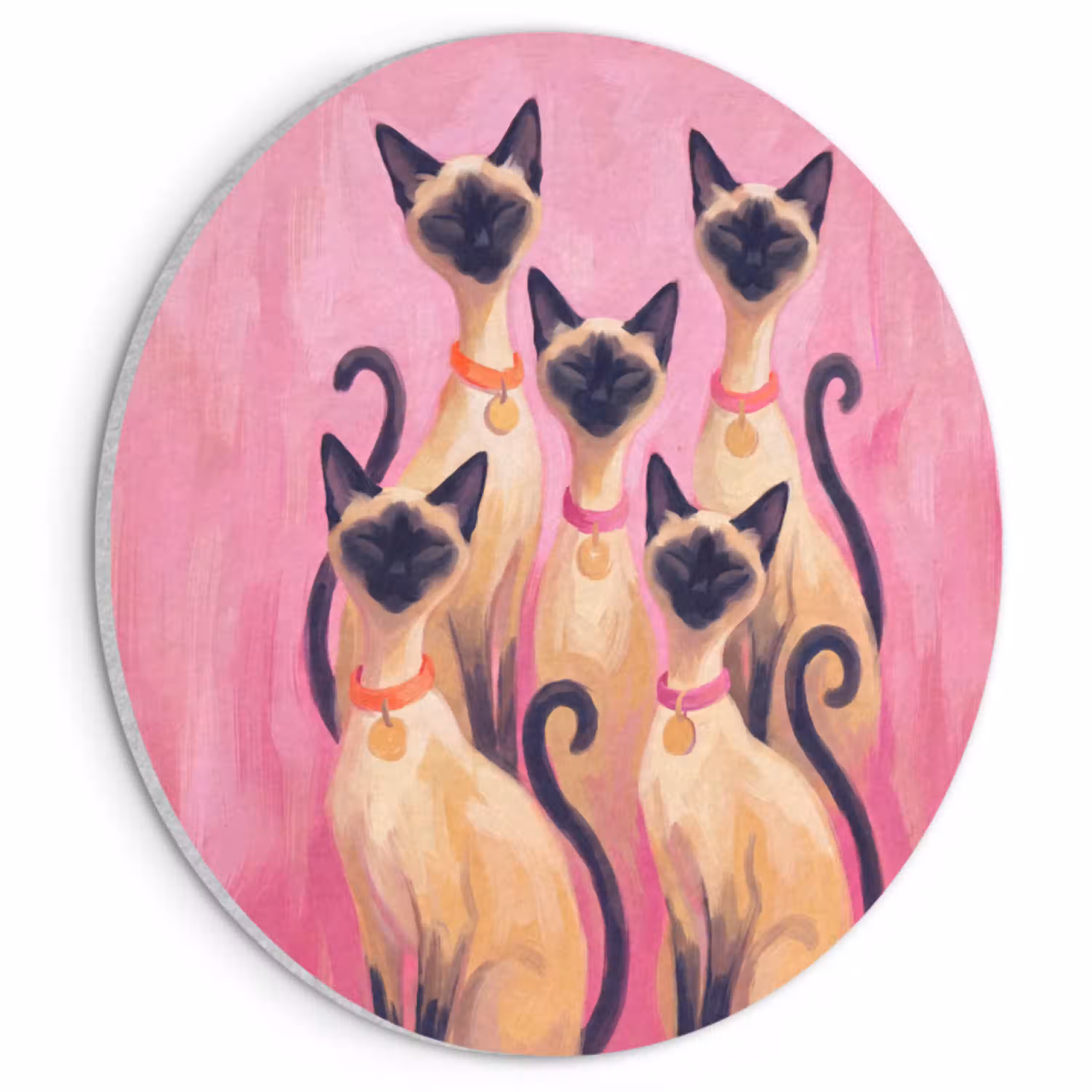 Kat - Groep - Dieren - Modern - Roze Akoestische PET Vilt - Rond klein -3d