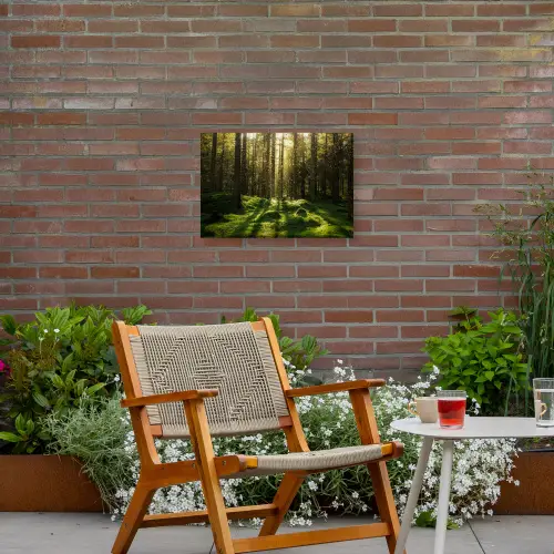 Bomen - Bos - Mos - Planten - Zon - Natuur Tuinposter op houten frame 2 cm dik klein -sfeer3