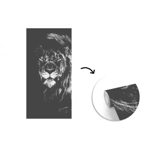 Leeuw - Ogen - Oranje - Zwart wit - Dieren - Portret fotobehang vinyl groot -3d