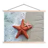 Zeester - Strand - Zee textielposter latten blank klein -3d