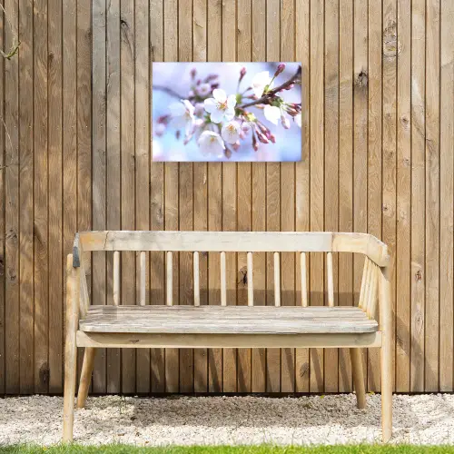 Bloemen - Sakura - Tak - Bloesem takken Tuinposter op houten frame 2 cm dik klein -sfeer4