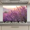 Lavendel - Paars - Zonlicht keuken achterwand spatscherm klein -3d_website