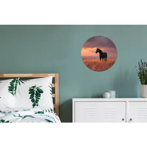 Paard - Wolken - Open veld Wandcirkel aluminium klein -slaapkamer