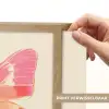 Oranje - Vlinder - Minimalistisch Light Box met batterij (Wandlamp) middel -USP_websiteprintNL