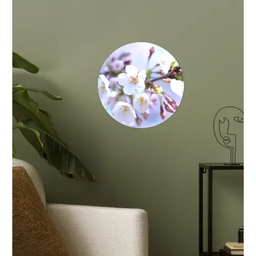 Bloemen - Sakura - Tak - Bloesem takken Wandcirkel behangsticker klein -sfeer2