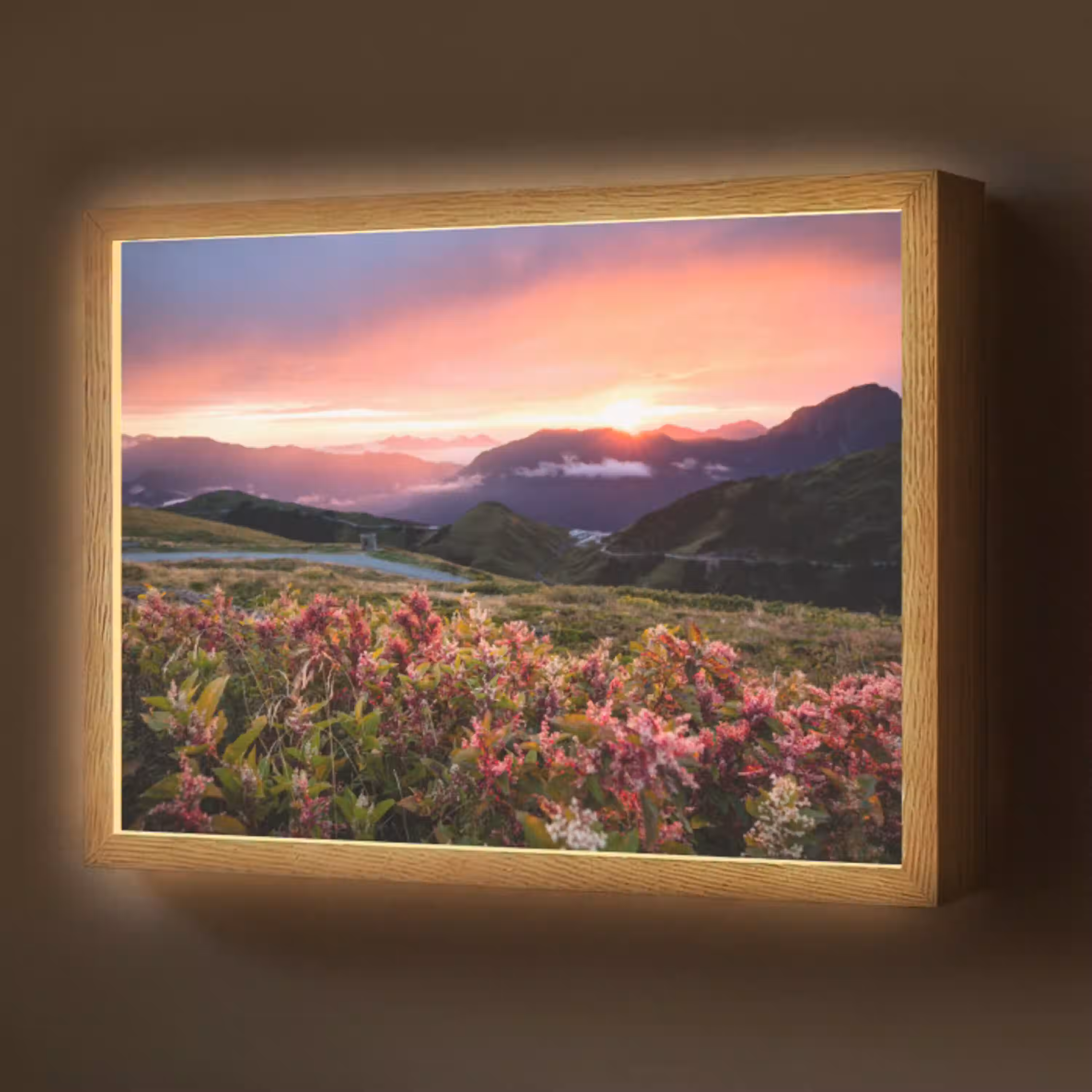 Bloemen - Bergen - Landschap - Nacht - Lucht - Roze Light Box met batterij (Wandlamp) middel -z3d_website