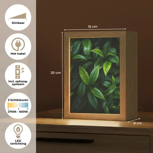Bladeren - Regendruppels - Licht - Groen Light Box met kabel (Tafellamp) klein -USP_NL
