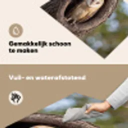 Kerkuil - Boom - Natuur - Bruin Inductie beschemer met haakjes klein -ky-schoon-nl