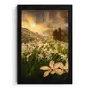 Bloemenveld - Heuvels - Zonsondergang - Berg - Natuur - Wit - Heuvels fotolijst zwart zonder passe partout klein -3d