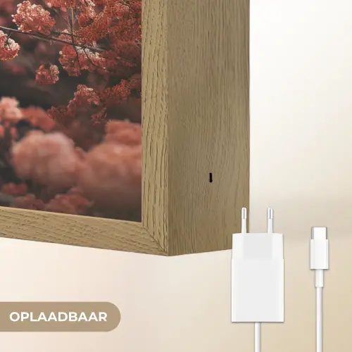 Schotse hooglander - Dier - Natuur - Bloemen - Botanisch Light Box met batterij (Wandlamp) middel -USP_websiteoplaadbaarNL