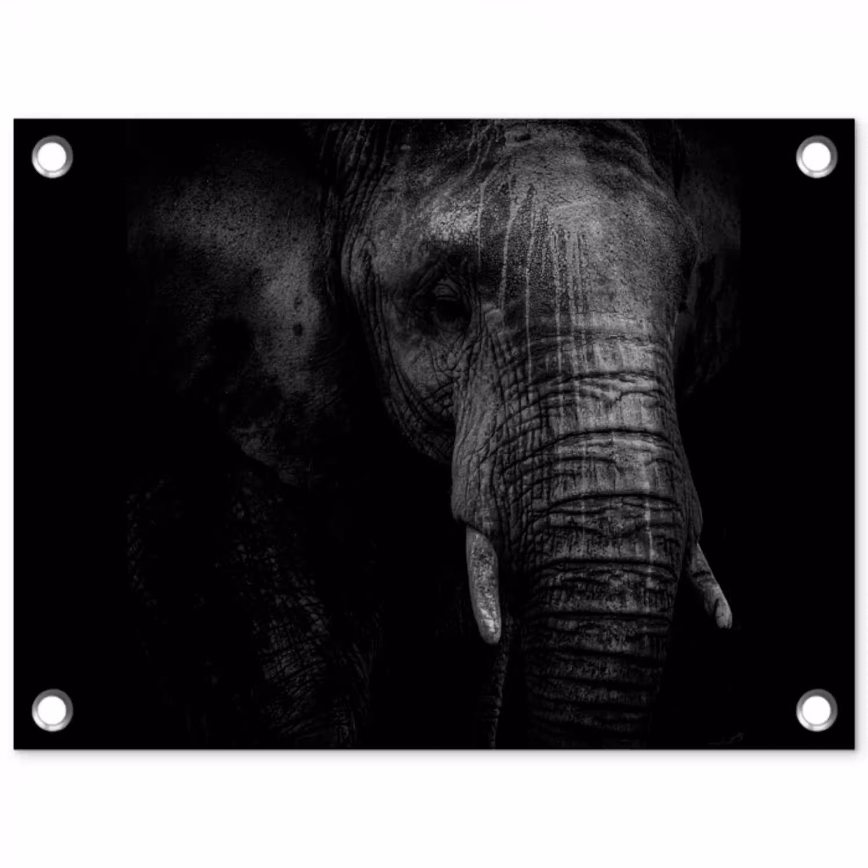 Olifant - Dier - Portret tuinposter los doek klein -3d