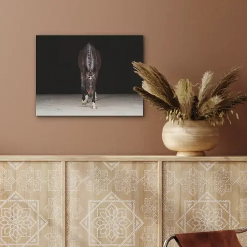 Paard - Modern - Portret PET vilt klein -sfeer4