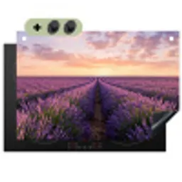 Landschap - Lavendelveld - Paars Inductie beschemer met haakjes klein -3d