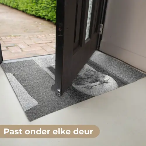 Kat - Telefoon - Toilet - Zwart - Wit Deurmat klein -USP_NL