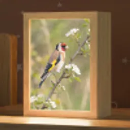 Putter - Bloesem - Lente - Natuur - Kleurrijk Light Box met kabel (Kinderlampje) klein -zzz_3d_website
