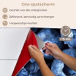 Bessen - Blauw - Fruit keuken achterwand spatscherm klein -spatscherm_NL