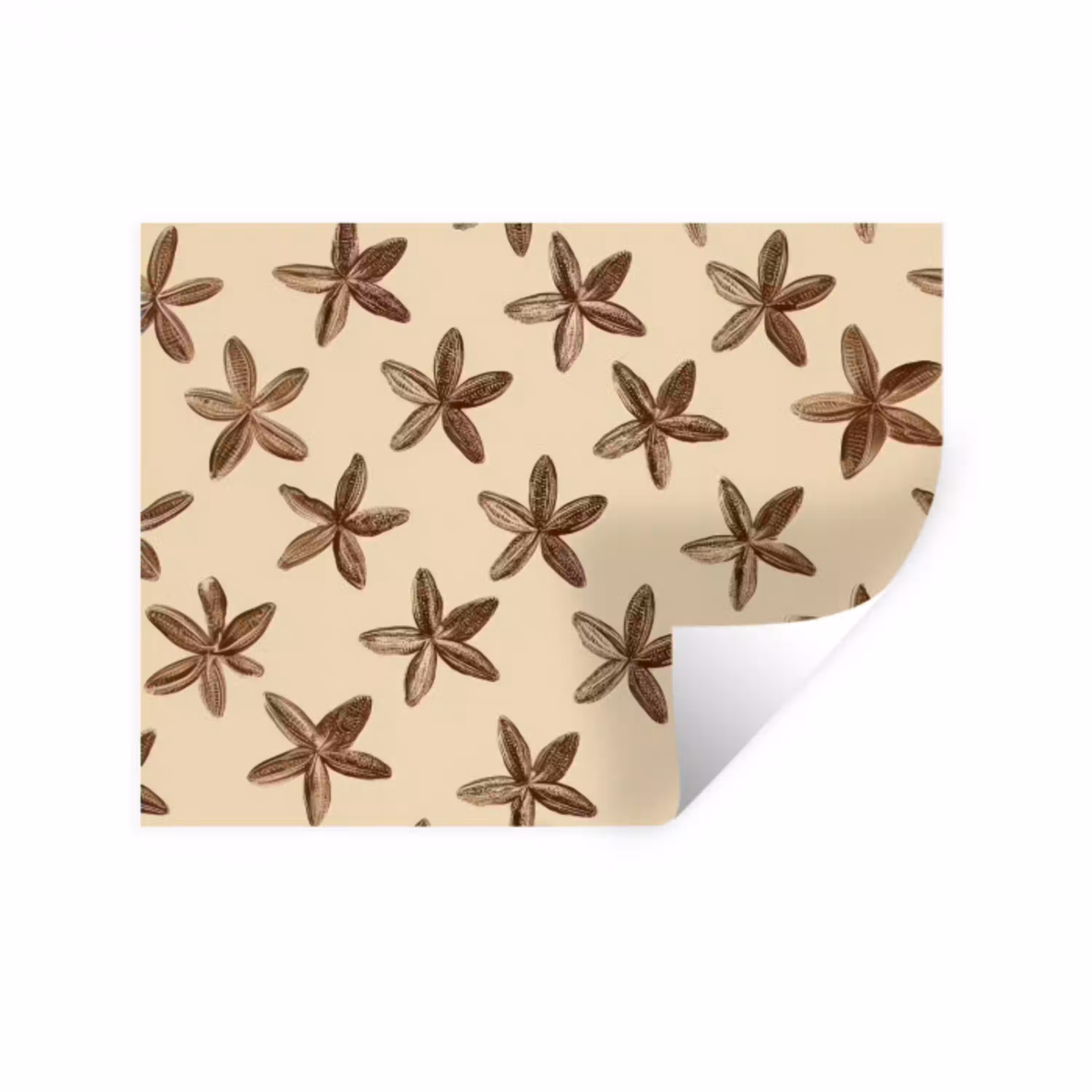 Sterren - Bruin - Natuurlijk Muursticker middel -3d