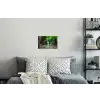 Jungle - Waterval - Planten - Water - Natuur Muursticker klein -slaapkamer