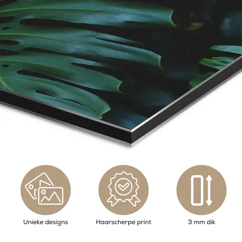 Monstera - Bladeren - Tropisch - Jungle aluminium wit klein -closeup_NL