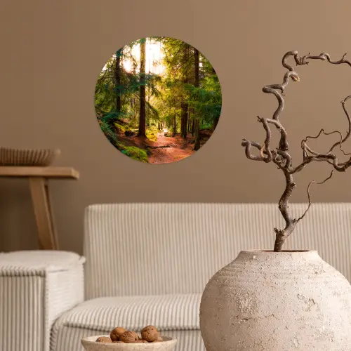 Bos - Pad - Bomen - Groen - Zon - Natuur Wandcirkel behangsticker klein -sfeer1