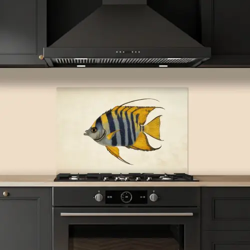 Vis - Sierlijk - Vinnen - Illustratie keuken achterwand spatscherm klein -sfeer1