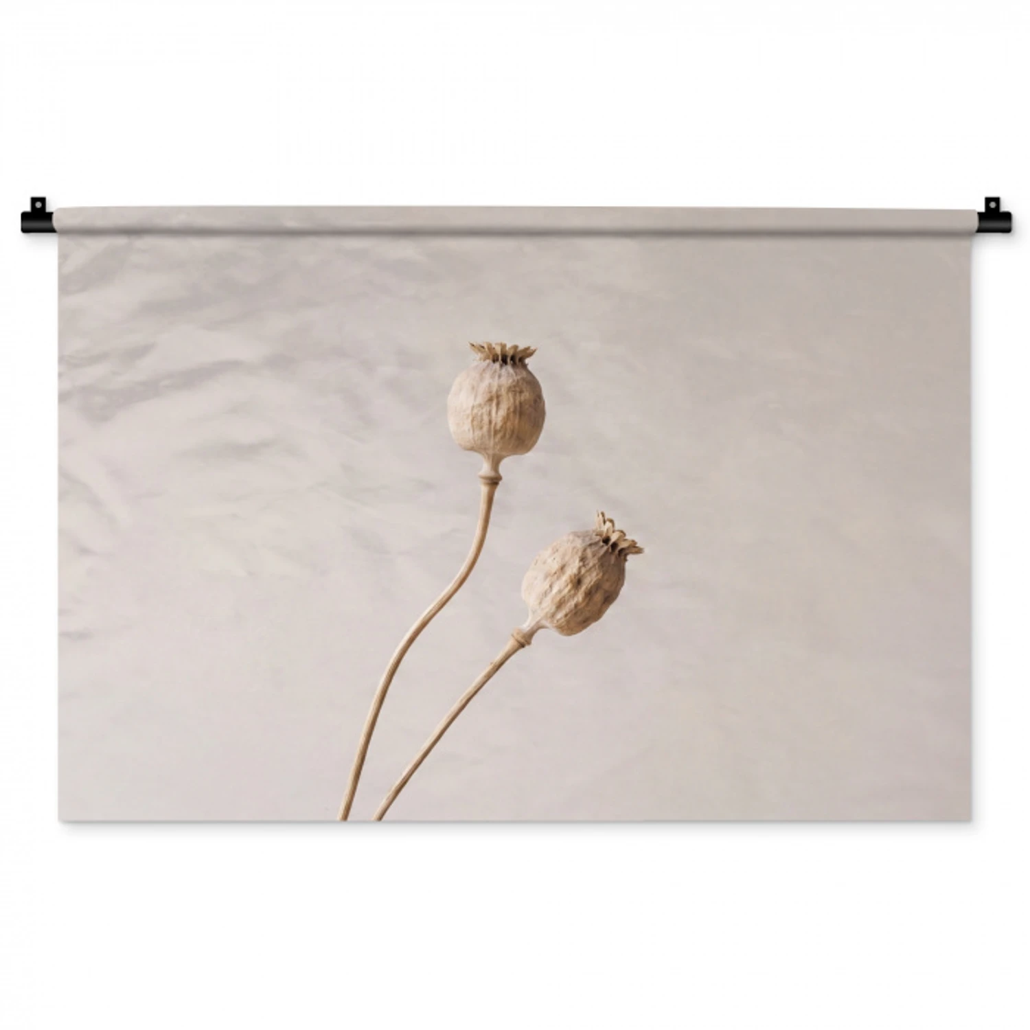 Papaverbollen - Droogbloemen - Minimalistisch - Beige - Rustig Wandkleed katoen middel -zz3d