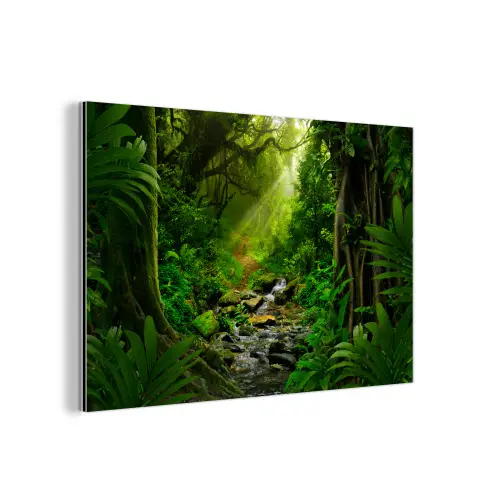Jungle - Water - Bladeren - Zon - Natuur aluminium wit klein -3d