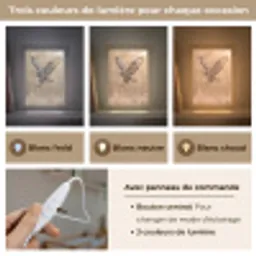 Buizerd - Roofvogel - Natuur - Bruin Light Box met kabel (Kinderlampje) klein -USP_lichtkleurFR