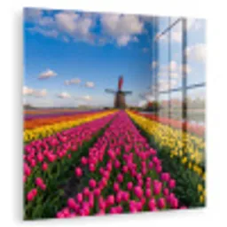 Tulpen - Holland - Molen - Kleurrijk plexiglas 5mm klein -zzzproduct_nieuw