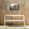 Schotse Hooglander - Bos - Mist - Koe - Dieren - Natuur Tuinposter op houten frame 2 cm dik klein -sfeer4