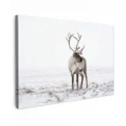 Rendier - Gewei - Sneeuw - Winter canvas 2cm klein -z3d